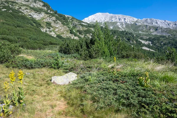 Bulgaristan 'ın Banderitsa Bölgesi yakınlarındaki Pirin Dağı' nın Şaşırtıcı Manzarası