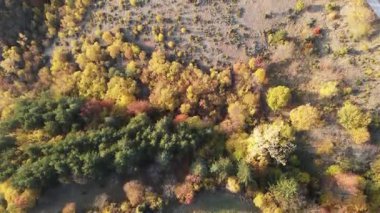 Bulgaristan 'ın Filibe Bölgesi Borovo kasabası yakınlarındaki Rodop dağının şaşırtıcı sonbahar manzarası