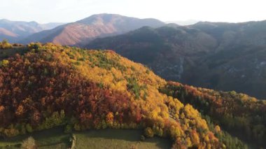 Bulgaristan 'ın Filibe Bölgesi Borovo kasabası yakınlarındaki Rodop dağının şaşırtıcı sonbahar manzarası