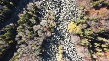 Bulgaristan 'ın başkenti Sofya' nın Vitosha Dağı 'ndaki Zlatnite Mostove (Altın Köprüler) adlı taştan nehrin hava sonbahar manzarası