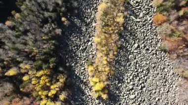 Bulgaristan 'ın başkenti Sofya' nın Vitosha Dağı 'ndaki Zlatnite Mostove (Altın Köprüler) adlı taştan nehrin hava sonbahar manzarası