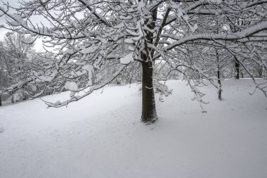 Bulgaristan 'ın Sofya kentindeki South Park' ın İnanılmaz Kış Panoraması