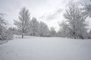 Bulgaristan 'ın Sofya kentindeki South Park' ın İnanılmaz Kış Panoraması