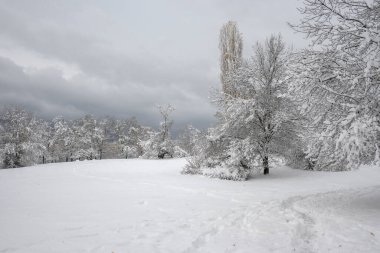 Bulgaristan 'ın Sofya kentindeki South Park' ın İnanılmaz Kış Panoraması