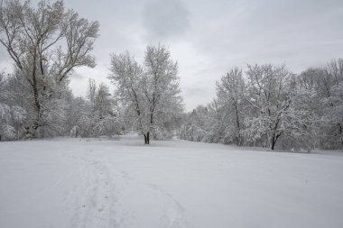 Bulgaristan 'ın Sofya kentindeki South Park' ın İnanılmaz Kış Panoraması