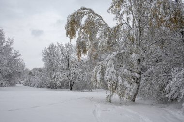 Bulgaristan 'ın Sofya kentindeki South Park' ın İnanılmaz Kış Panoraması