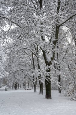 Bulgaristan 'ın Sofya kentindeki South Park' ın İnanılmaz Kış Panoraması