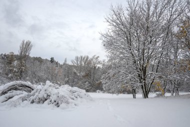 Bulgaristan 'ın Sofya kentindeki South Park' ın İnanılmaz Kış Panoraması