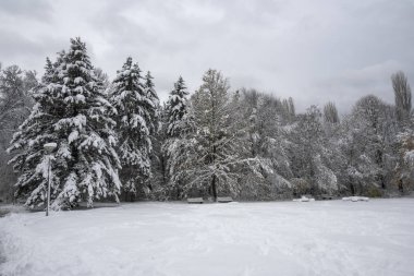 Bulgaristan 'ın Sofya kentindeki South Park' ın İnanılmaz Kış Panoraması