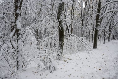 Bulgaristan 'ın Sofya kentindeki South Park' ın İnanılmaz Kış Panoraması
