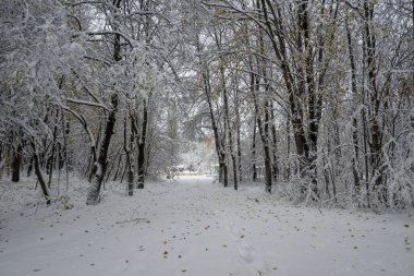 Bulgaristan 'ın Sofya kentindeki South Park' ın İnanılmaz Kış Panoraması