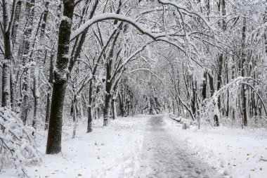 Bulgaristan 'ın Sofya kentindeki South Park' ın İnanılmaz Kış Panoraması