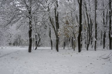 Bulgaristan 'ın Sofya kentindeki South Park' ın İnanılmaz Kış Panoraması