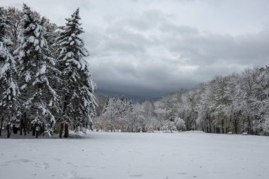 Bulgaristan 'ın Sofya kentindeki South Park' ın İnanılmaz Kış Panoraması