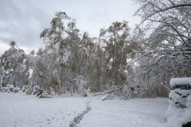 Bulgaristan 'ın Sofya kentindeki South Park' ın İnanılmaz Kış Panoraması