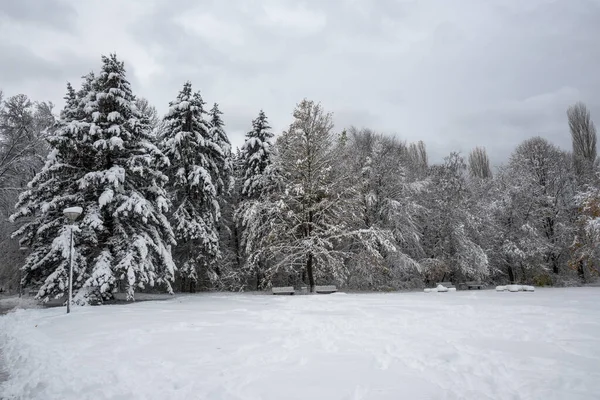 Bulgaristan 'ın Sofya kentindeki South Park' ın İnanılmaz Kış Panoraması