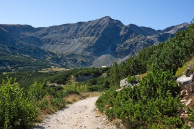 Bulgaristan 'ın Musala tepesi çevresindeki Rila Dağı' nın İnanılmaz Yaz Manzarası