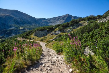 Bulgaristan 'ın Musala tepesi çevresindeki Rila Dağı' nın İnanılmaz Yaz Manzarası