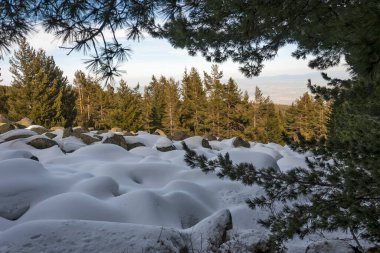 Vitosha Dağı 'nın kış manzarası, Sofya Şehir Bölgesi, Bulgaristan
