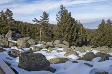 Vitosha Dağı 'nın kış manzarası, Sofya Şehir Bölgesi, Bulgaristan