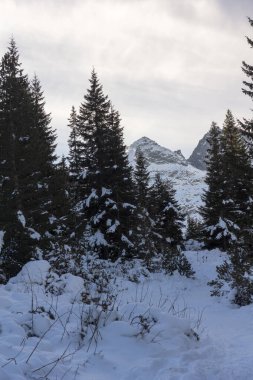 Bulgaristan 'ın Malyovitsa zirvesi yakınlarındaki Rila Dağı' nın şaşırtıcı kış manzarası