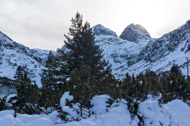Bulgaristan 'ın Malyovitsa zirvesi yakınlarındaki Rila Dağı' nın şaşırtıcı kış manzarası