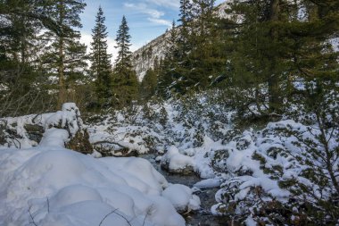 Bulgaristan 'ın Malyovitsa zirvesi yakınlarındaki Rila Dağı' nın şaşırtıcı kış manzarası