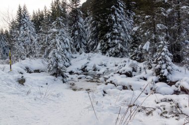 Bulgaristan 'ın Malyovitsa zirvesi yakınlarındaki Rila Dağı' nın şaşırtıcı kış manzarası