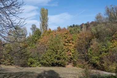 Bulgaristan 'ın Sofya kentindeki South Park' ın Muhteşem Sonbahar Manzarası