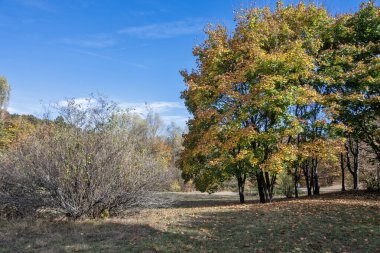 Bulgaristan 'ın Sofya kentindeki South Park' ın Muhteşem Sonbahar Manzarası