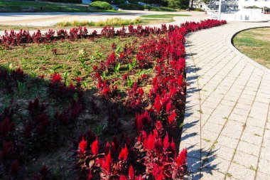 NISKA BANJA, SERBIA - 21 Eylül 2025: Sırbistan 'ın Nis kenti yakınlarındaki Niska Banja tatil beldesinin panoramik manzarası