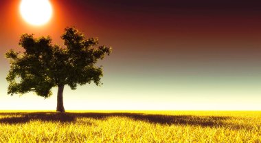 Çayırdaki yalnız ağaç