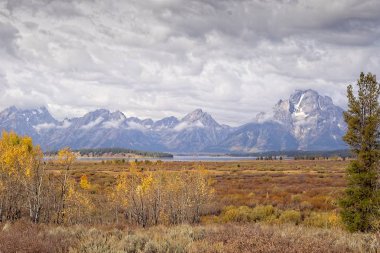 Grand Tetons, Jenny göl ve Willow daire sonbahar renk.