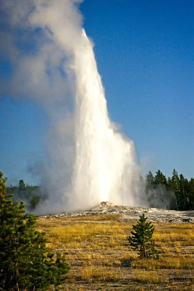 Έκρηξη Του Old Faithful Θερμοσίφωνας Στο Πάρκο Yellowstone — Φωτογραφία Αρχείου