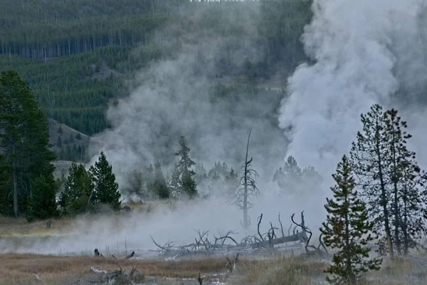 Earth on fire as steam rises from thermal areas before dawn in Yellowstone Park