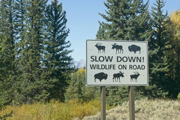 Una Señal Advertencia Carretera Parque Nacional Grand Teton —  Fotos de Stock