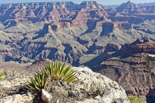 Vista Grand Canyon South Rim Outono — Fotografia de Stock