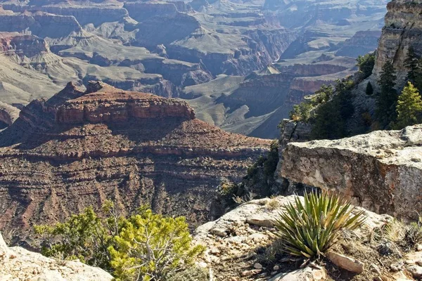 Ősszel Déli Peremén Grand Canyon View — Stock Fotó