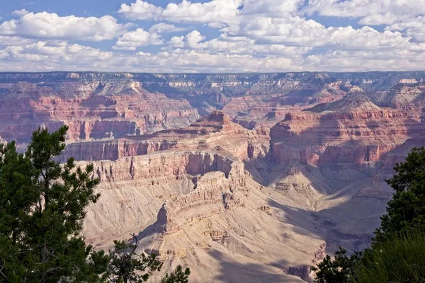 Dél Rim Grand Canyon Kilátás Nyílik Kilátás Egy Nyári Napon — Stock Fotó