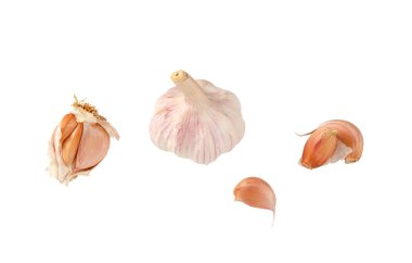 ampul ve beyaz arka plan üzerinde taze sarımsak karanfil