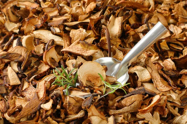 Cuillère Champignons Séchés Sur Fond Champignons — Photo