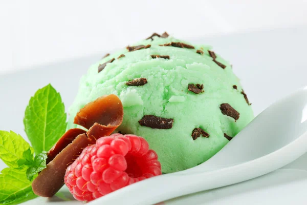 Scoop Mint Chocolate Chip Ice Cream — Stock Photo, Image