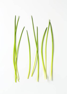 taze Frenk soğanı yaprakları