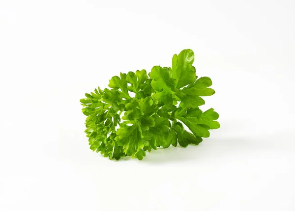 Fresh parsley sprigs — Stock Photo, Image
