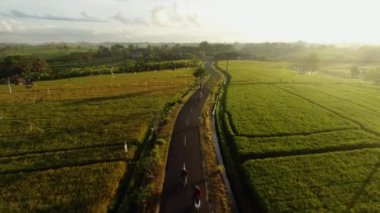 Pirinç tarlası. Yeşil. Insanlar. Sunrise. Bali. Doğa. Anten. 4k. Drone