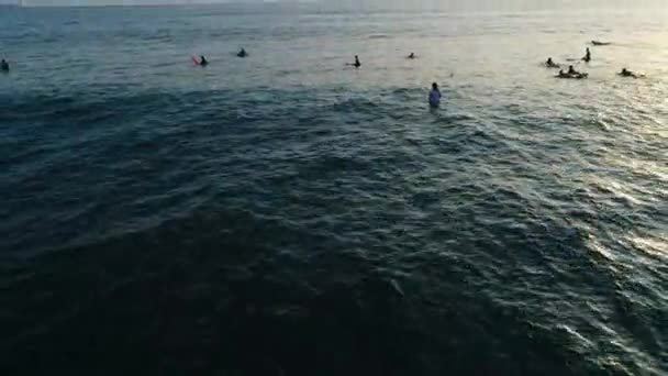 Океан. Люди. Серфінг. Вода. Природа. Схід сонця. Еріал. 4k. Безпілотник Стоковий Відеоролик