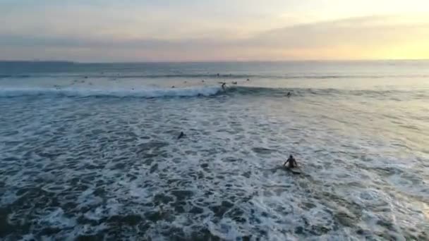 海。人々。サーフィン。水。自然。日の出。アンテナ。4k. ドローン — ストック動画