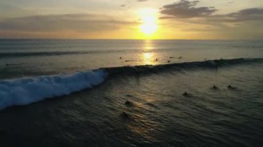 Okyanus. Insanlar. Sörf. Su. Doğa. Sunrise. Anten. 4k. Drone