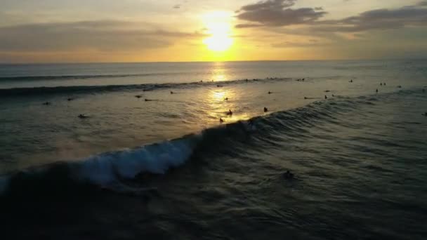 Океан. Люди. Серфінг. Вода. Природа. Схід сонця. Еріал. 4k. Безпілотник Стоковий Відеоролик