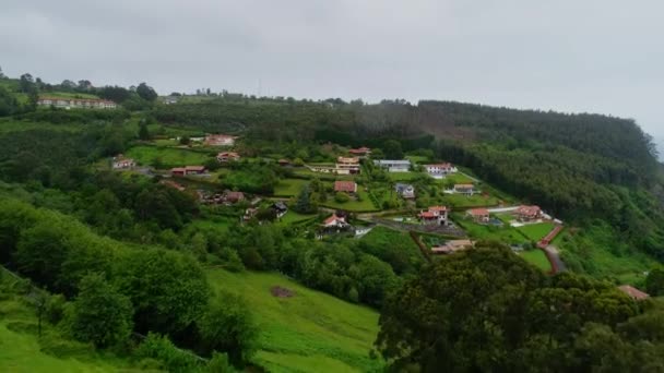 Forest. Vert, Nature. Un arbre. Espagne. Des antennes. 4k. Un drone 